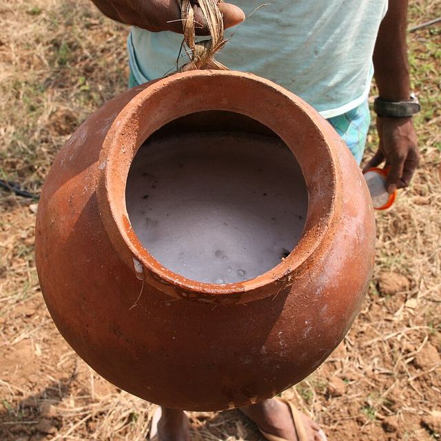 Fresh toddy bubbling in a clay pot